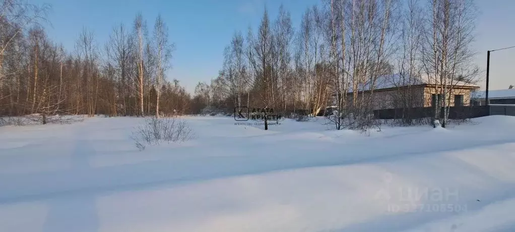 Участок в Московская область, Павловский Посад ул. Платочная, 24 (8.0 ... - Фото 1