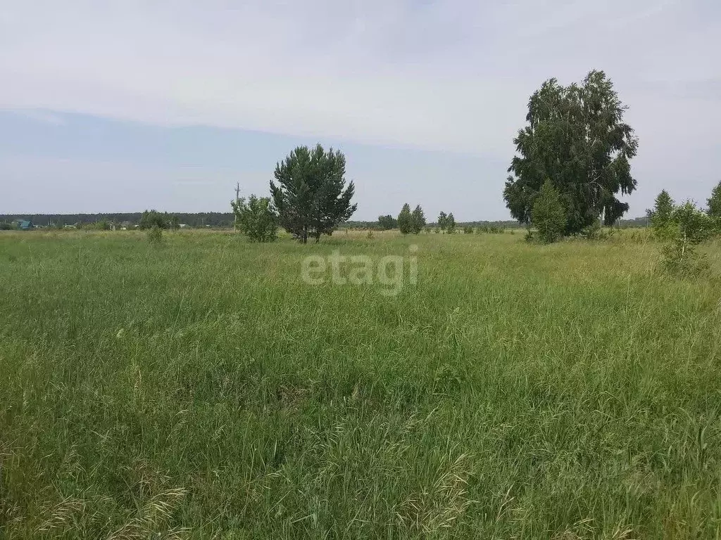 Участок в Алтайский край, Бийский район, Зверовод СДТ ул. Молодежная ... - Фото 1