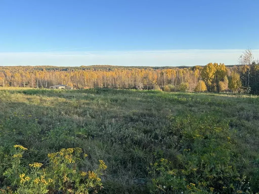 Участок в Ленинградская область, Выборгский район, Рощинское городское ... - Фото 1