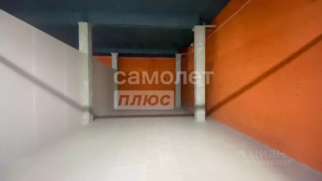 Торговая площадь в Липецкая область, Липецк ул. П.А. Папина, с1Гк3 (55 ... - Фото 2