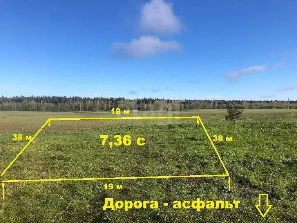 Участок в Вологодская область, пос. Перьево ул. Молодежная (7.3 сот.) - Фото 1