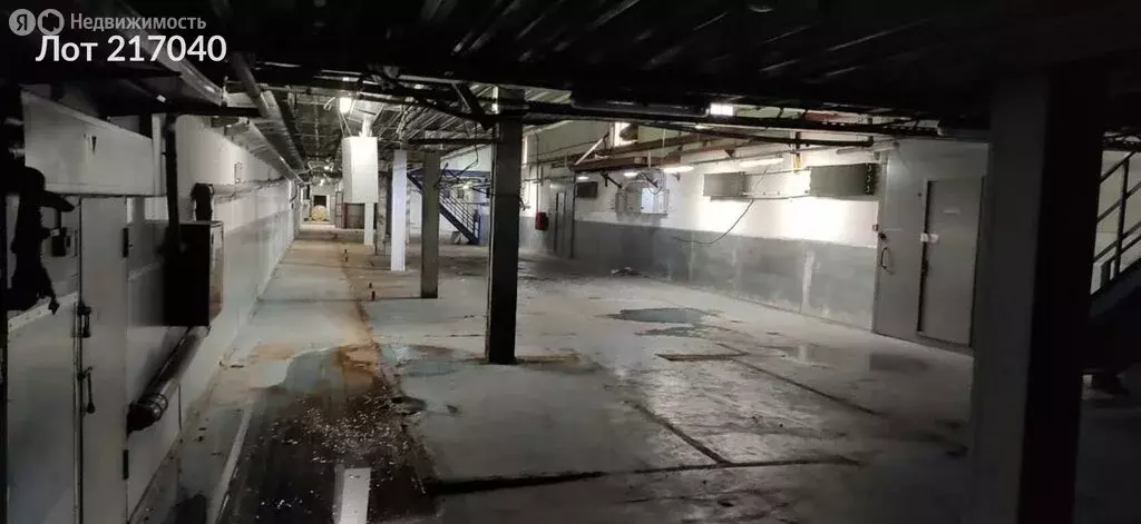 Производственное помещение (1230 м) - Фото 2