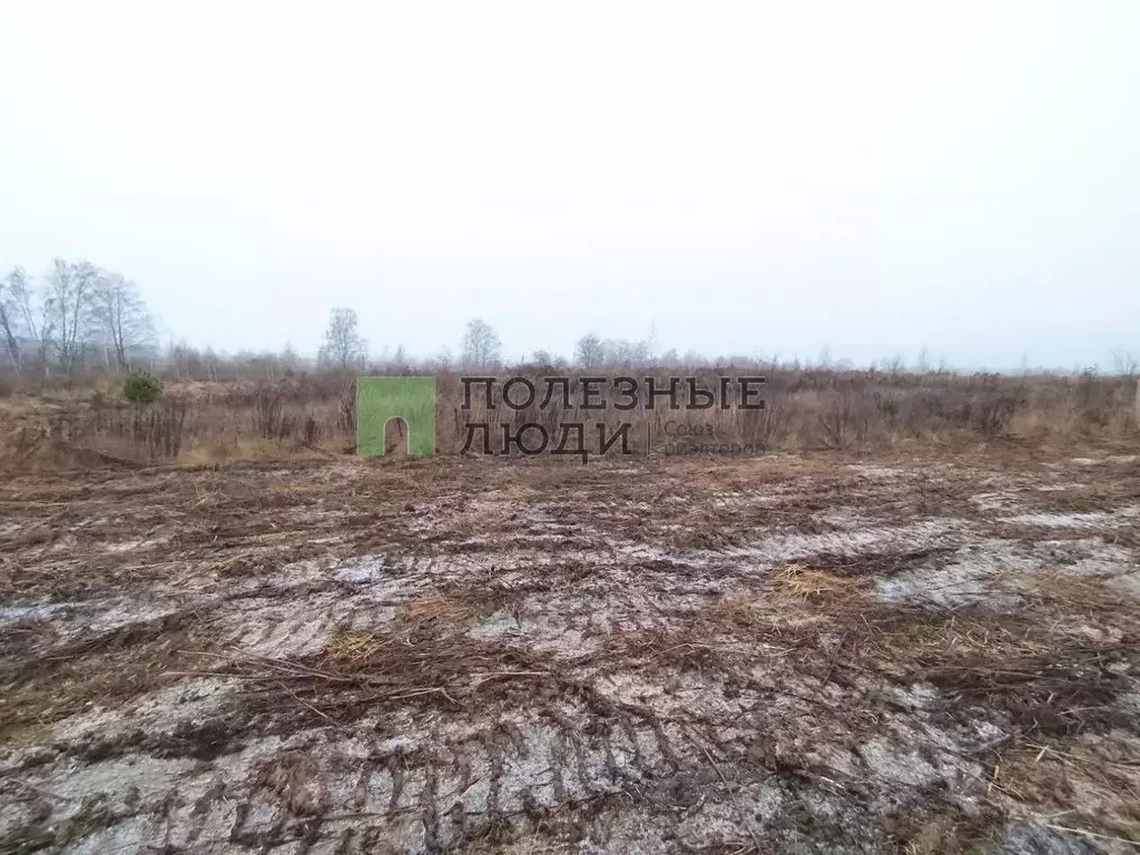 Участок в Орловская область, Орловский муниципальный округ, д. ... - Фото 1