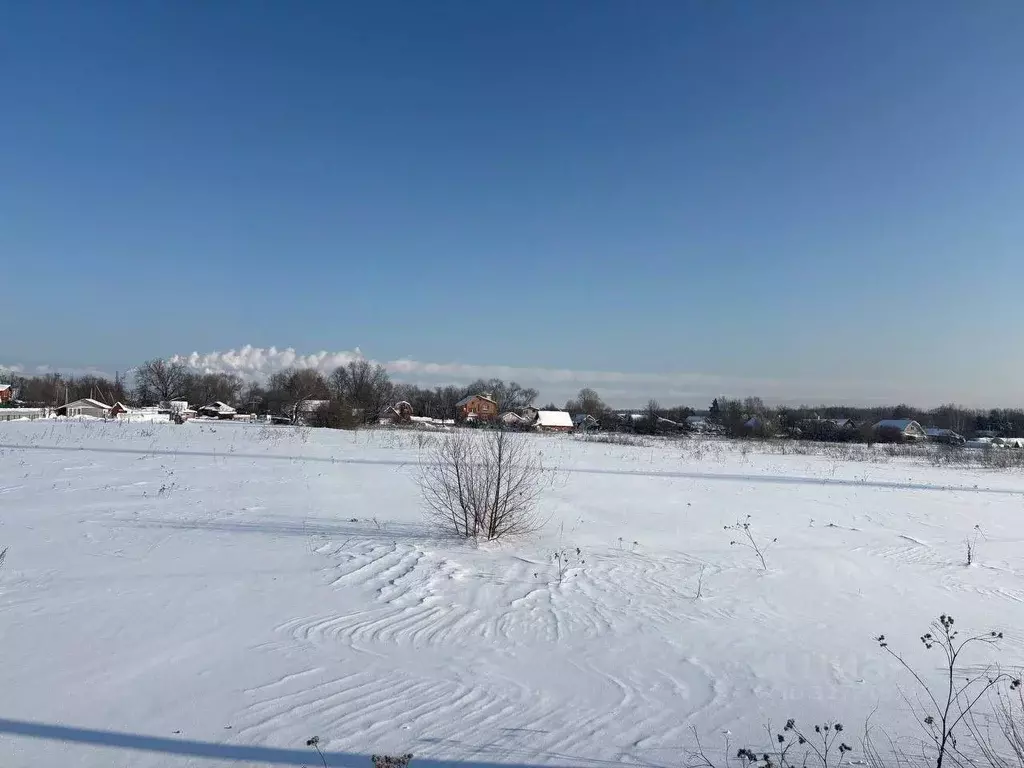 Участок в Московская область, Воскресенск городской округ, д. Ратчино ... - Фото 1