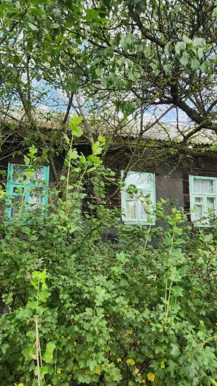 Дом в Смоленская область, Смоленск ул. Декабристов, 49 (70 м) - Фото 1