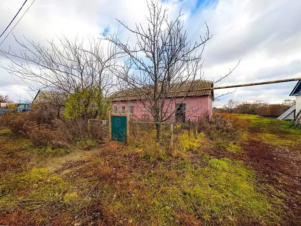 Дом в Демшинка, Центральная улица, 102 (50 м) - Фото 1