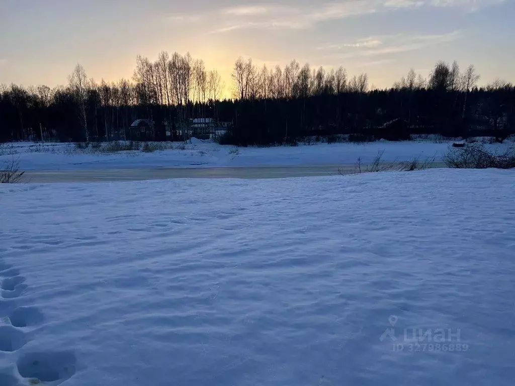 Участок, 1100 сот., фермерское хоз-во - Фото 1