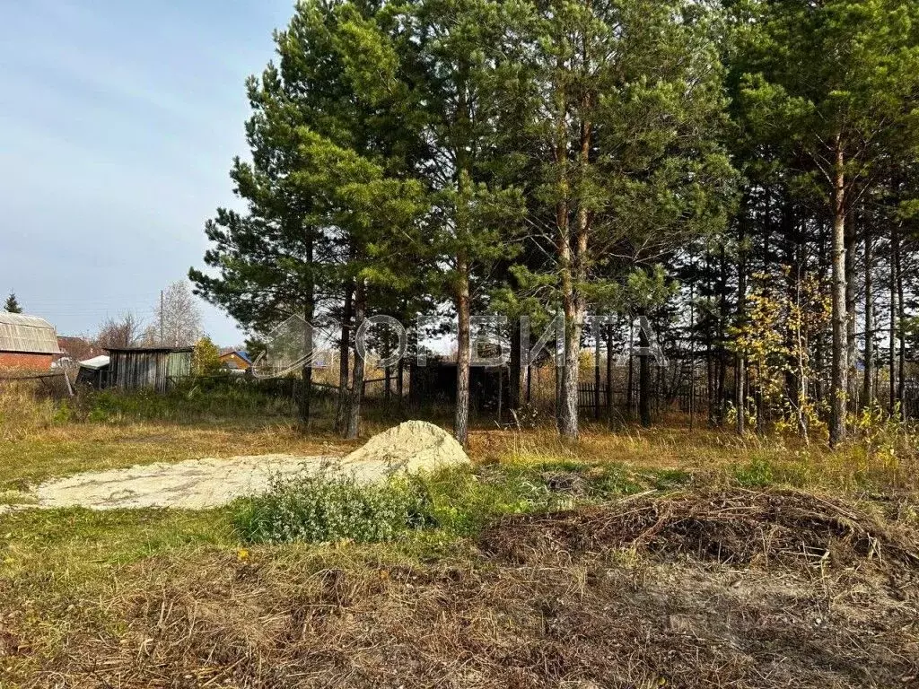 Участок в Тюменская область, Тюменский район, Нива СНТ ул. Городская ... - Фото 0