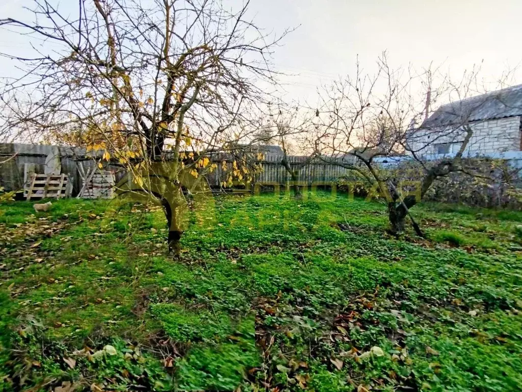 Участок в Краснодарский край, Темрюкский район, Старотитаровское ... - Фото 1