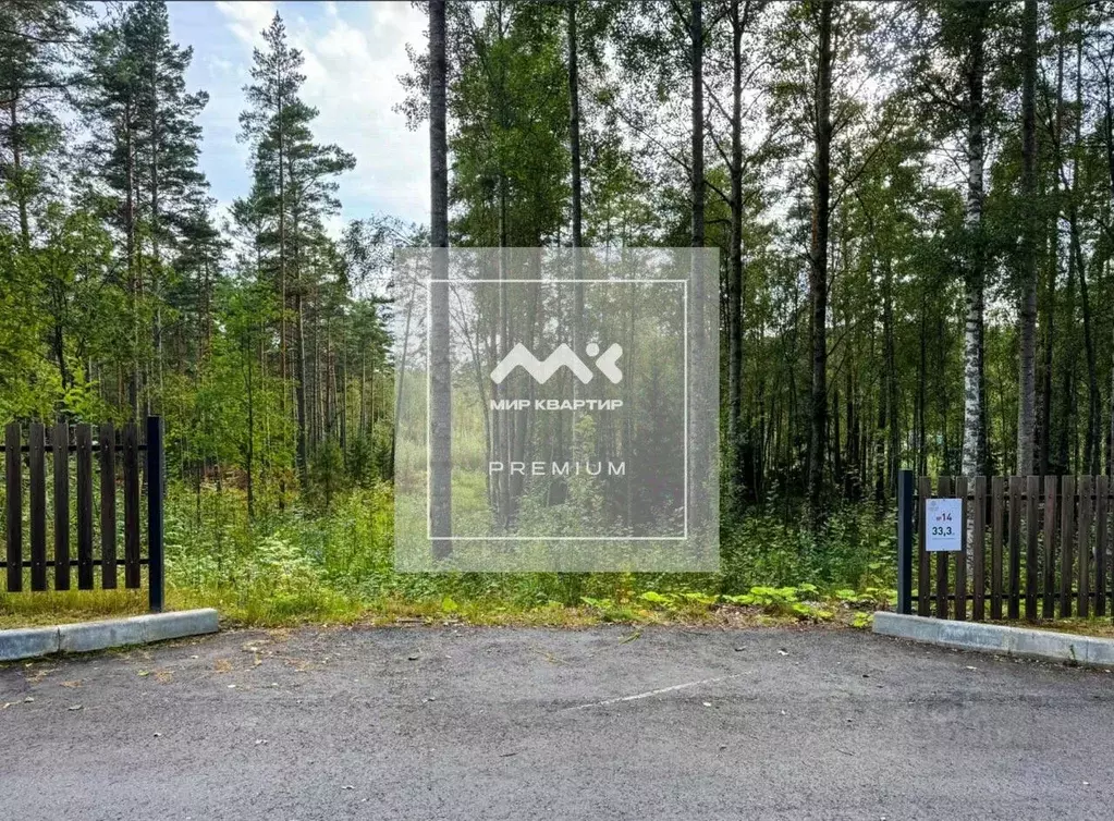 Участок в Ленинградская область, Приозерский район, Раздольевское ... - Фото 1