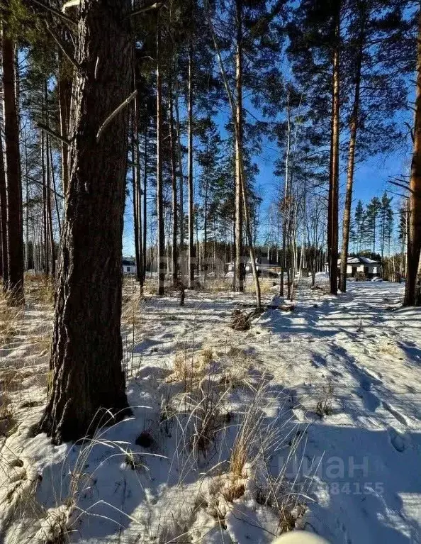 Участок в Свердловская область, Полевской муниципальный округ, с. ... - Фото 1