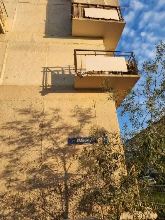 1-к кв. Саха (Якутия), Якутск ул. Кальвица, 1 (21.9 м) - Фото 1