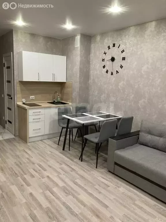 Квартира-студия: Саранск, улица Фурманова, 67 (23.7 м) - Фото 1