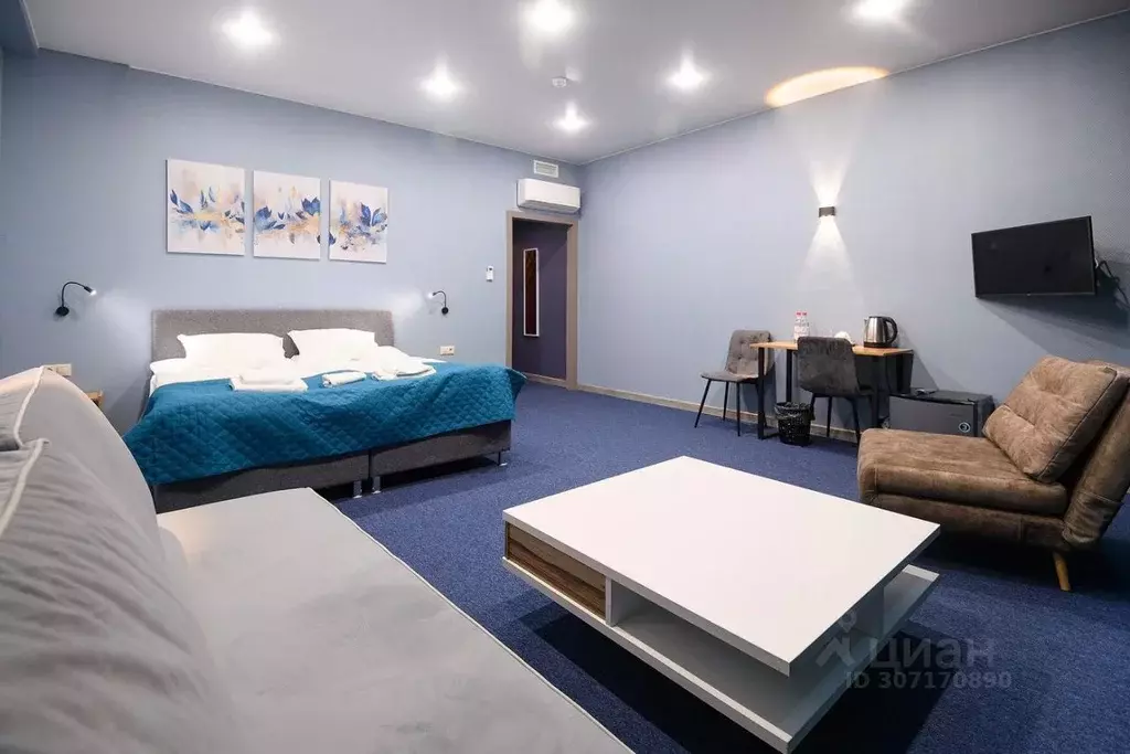 Комната Санкт-Петербург ул. Есенина, 1к1 (20.0 м) - Фото 0
