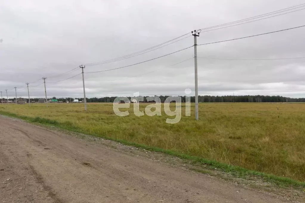 Участок в Тюменская область, Голышманово пгт ул. Ражева (12.0 сот.) - Фото 0