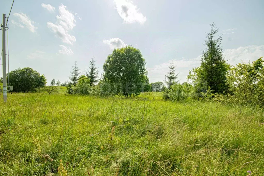 Участок в Московская область, Наро-Фоминский городской округ, д. ... - Фото 1