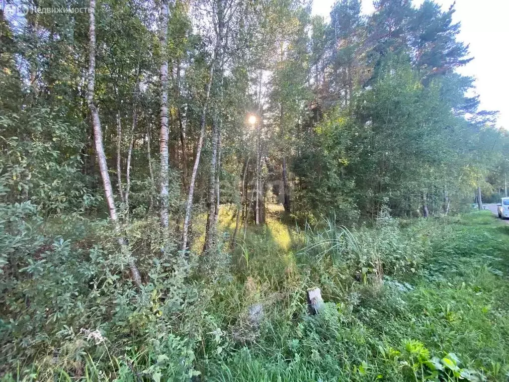 Участок в Московская область, Дубна (10.6 м) - Фото 2