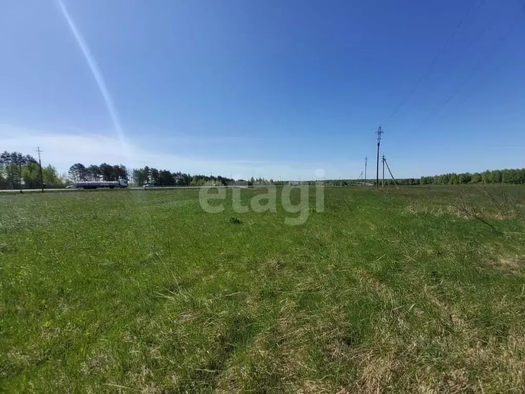 Участок в Брянская область, Выгоничи рп  (100.0 сот.) - Фото 1