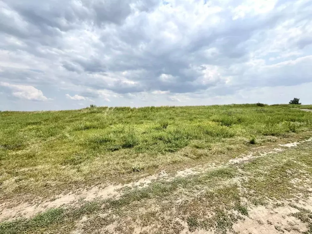 Участок в Саратовская область, Энгельсский район, Красноярское ... - Фото 2