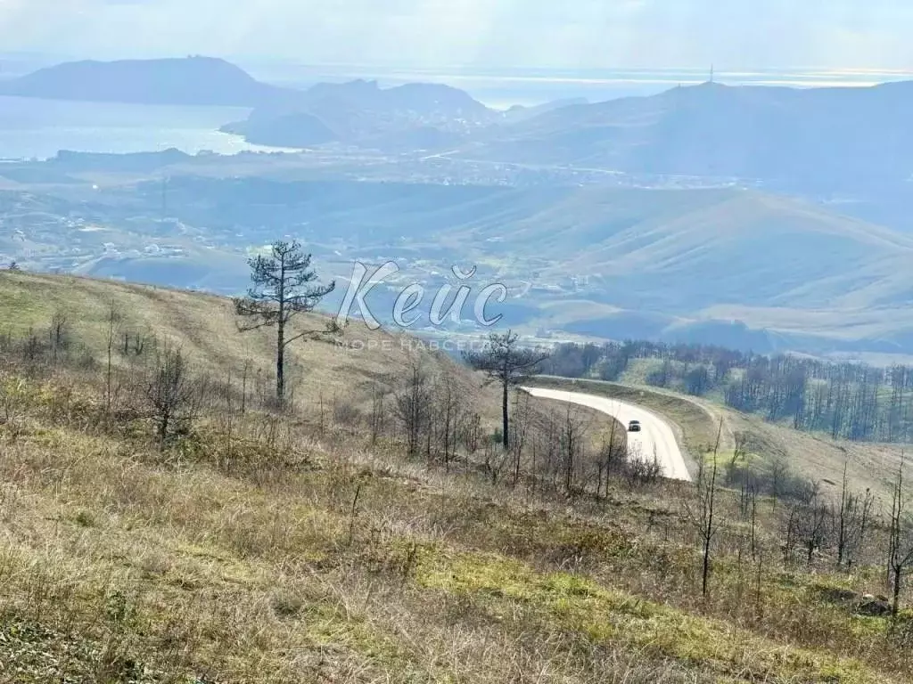 Участок в Крым, Феодосия муниципальный округ, Рассвет-2 СПК  (12.0 ... - Фото 1