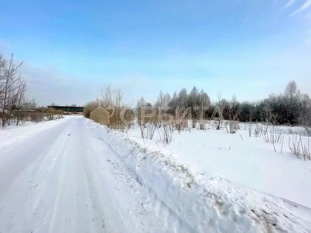 Участок в Тюменская область, Тюменский район, д. Пышминка  (7.0 сот.) - Фото 1