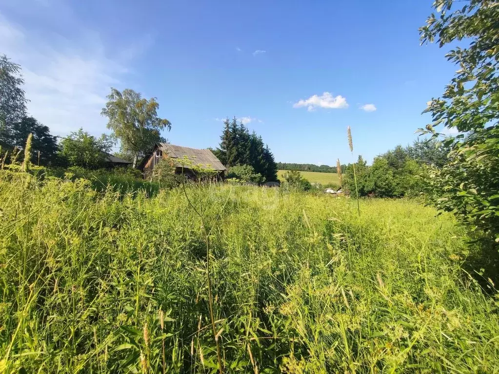 Участок в Вологодская область, д. Фроловское  (10.0 сот.) - Фото 2