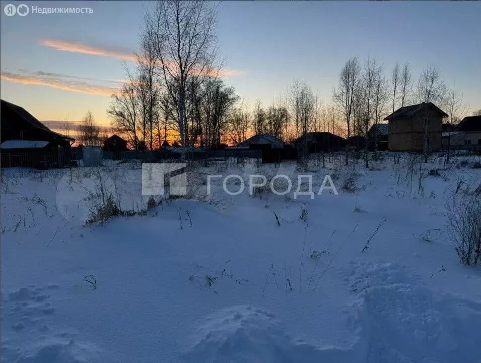 Участок в Новосибирский район, Верх-Тулинский сельсовет, ДНТ Берёзка, ... - Фото 1