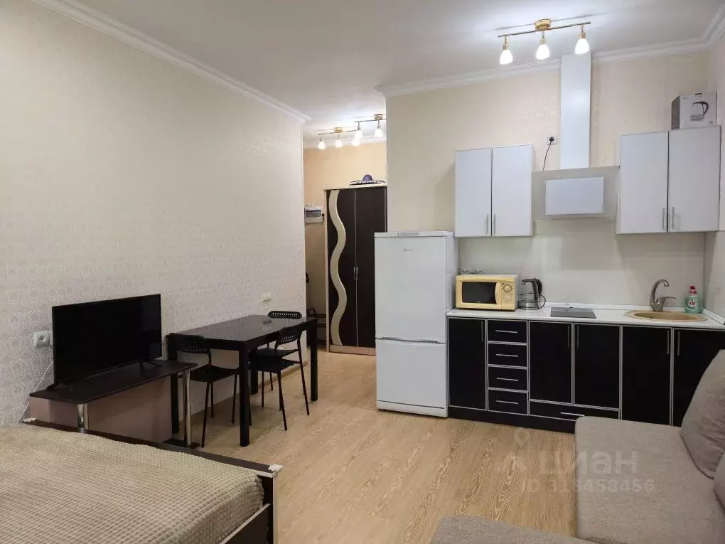 Студия Краснодарский край, Сочи ул. Просвещения, 118/2 (24.9 м) - Фото 1