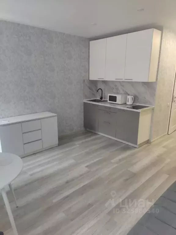 1-к кв. Московская область, Подольск городской округ, д. Борисовка ул. ... - Фото 2