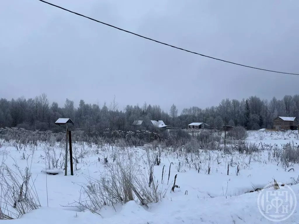 Участок в Ленинградская область, Лужский район, Скребловское с/пос, д. ... - Фото 1