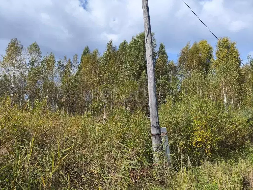 Участок в Тюменская область, Нижнетавдинский район, Сочинское ДНТ  ... - Фото 0