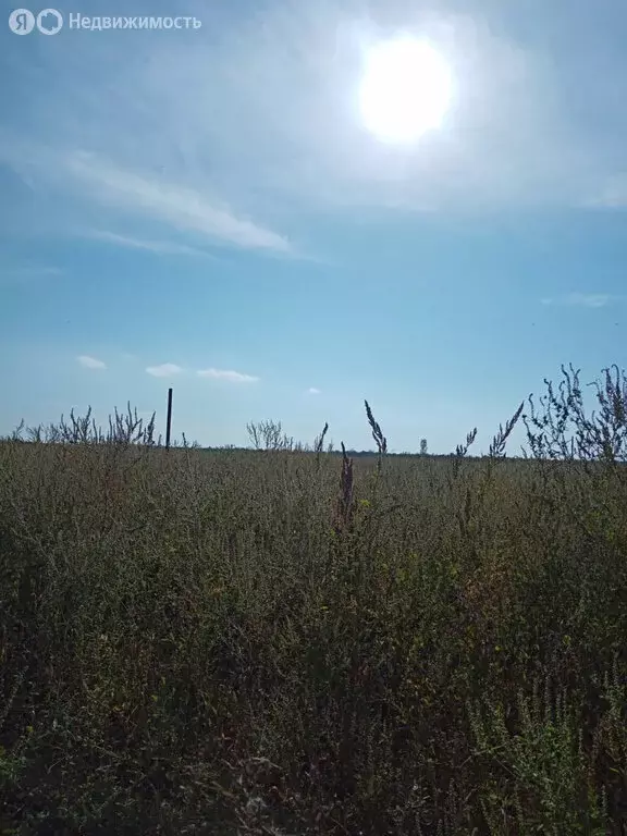 Участок в Ейск, улица Герцена (6.25 м) - Фото 0