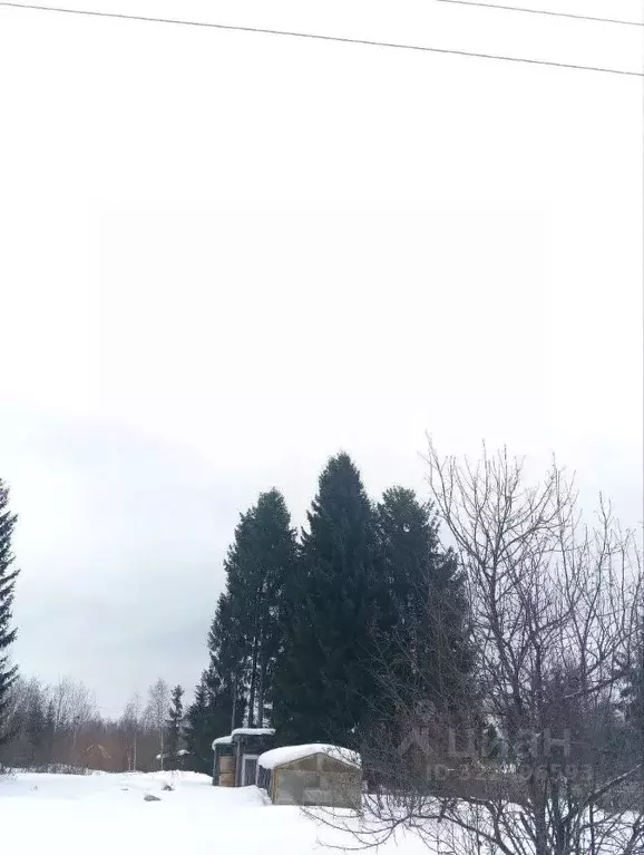 Участок в Вологодская область, Шограш садоводческое товарищество ул. ... - Фото 1