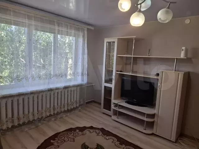 1-к. квартира, 29 м, 5/5 эт. - Фото 0