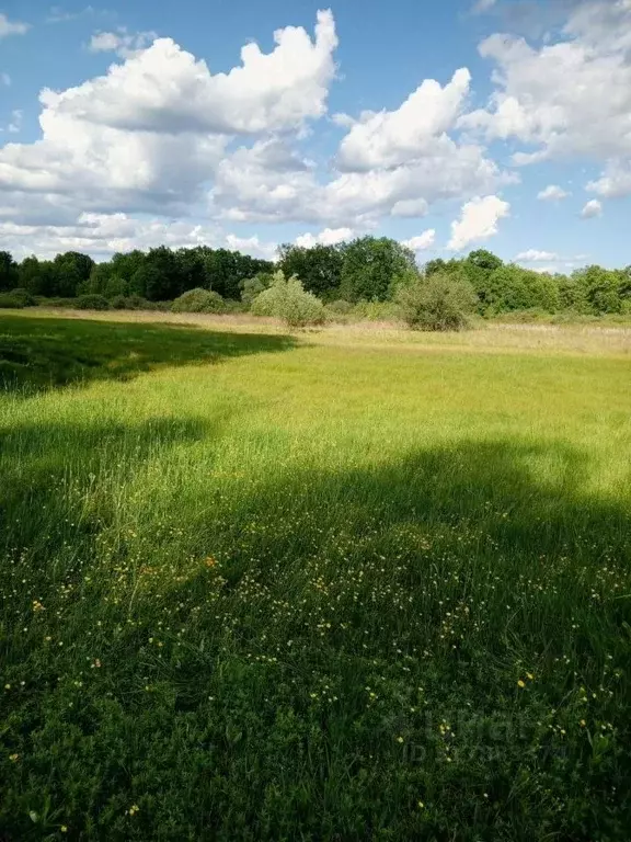 Участок в Воронежская область, Рамонь рп  (80.0 сот.) - Фото 0