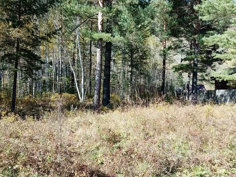 Участок в Иркутская область, Иркутский район, Голоустненское ... - Фото 1