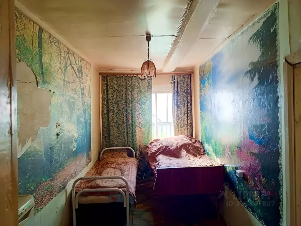 Дом в Нижегородская область, с. Большое Болдино ул. Красная, 84 (100 ... - Фото 2