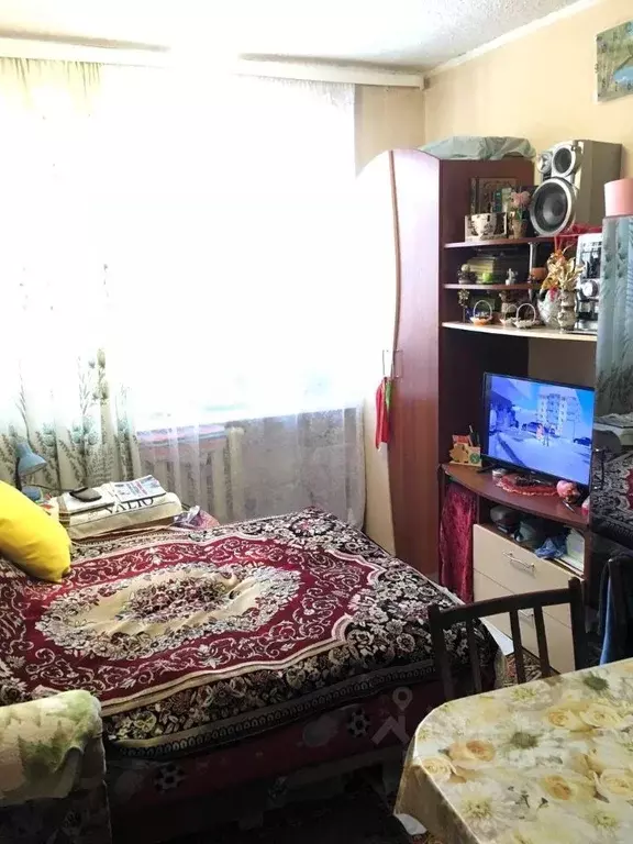 Студия Томская область, Томск просп. Кирова, 56Б (18.4 м) - Фото 1