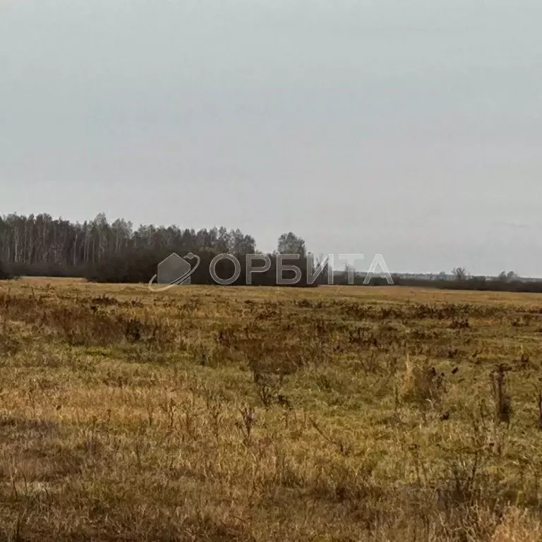 Участок в Тюменская область, Тюменский муниципальный округ, ... - Фото 1