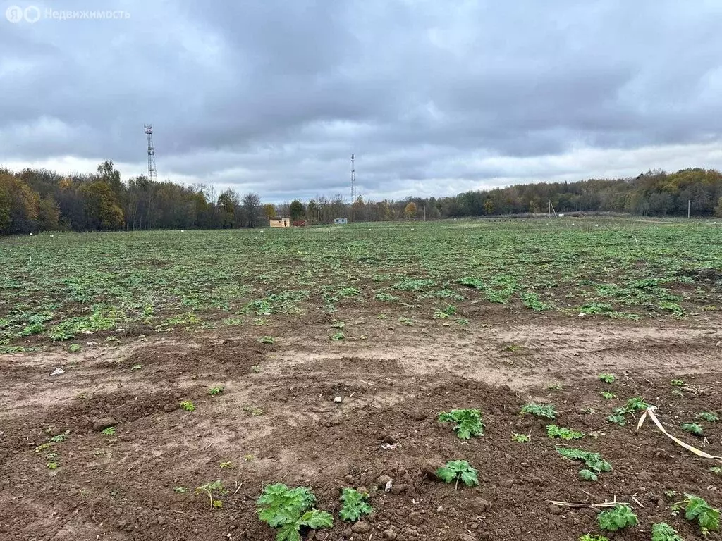 Участок в Московская область, городской округ Клин, деревня Соколово ... - Фото 0