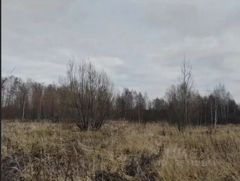 Участок в Московская область, Чехов муниципальный округ, Троицкое пгт  ... - Фото 1