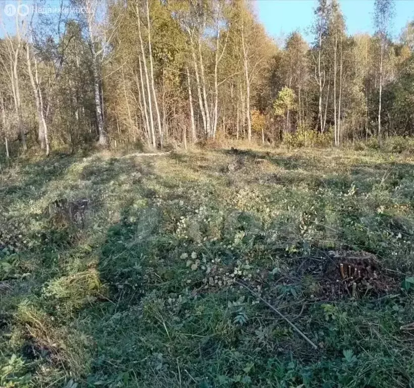 Участок в Тобольск, микрорайон Усадьба (15 м) - Фото 0