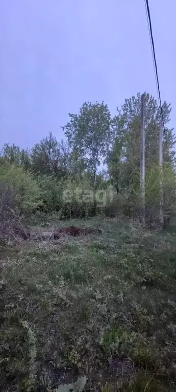 Участок в Липецкая область, Грязинский район, Казинский сельсовет, с. ... - Фото 0