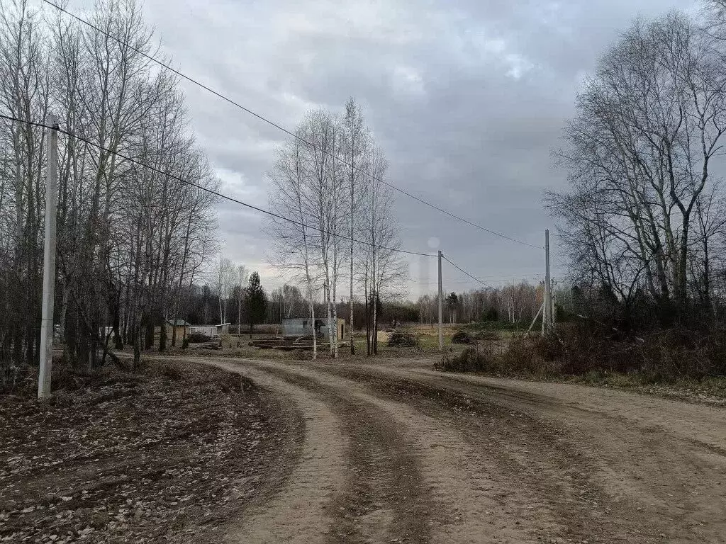 Участок в Тюменская область, Нижнетавдинский муниципальный округ, ... - Фото 2