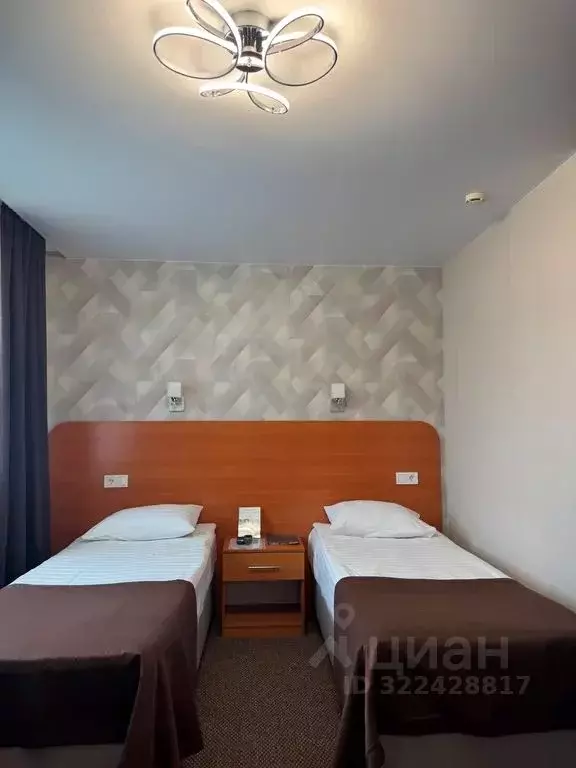 Комната Приморский край, Владивосток Посьетская ул., 38 - Фото 1