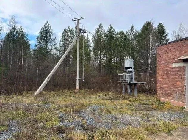 Производственное помещение в Пермский край, Добрянка ул. Промышленная, ... - Фото 1