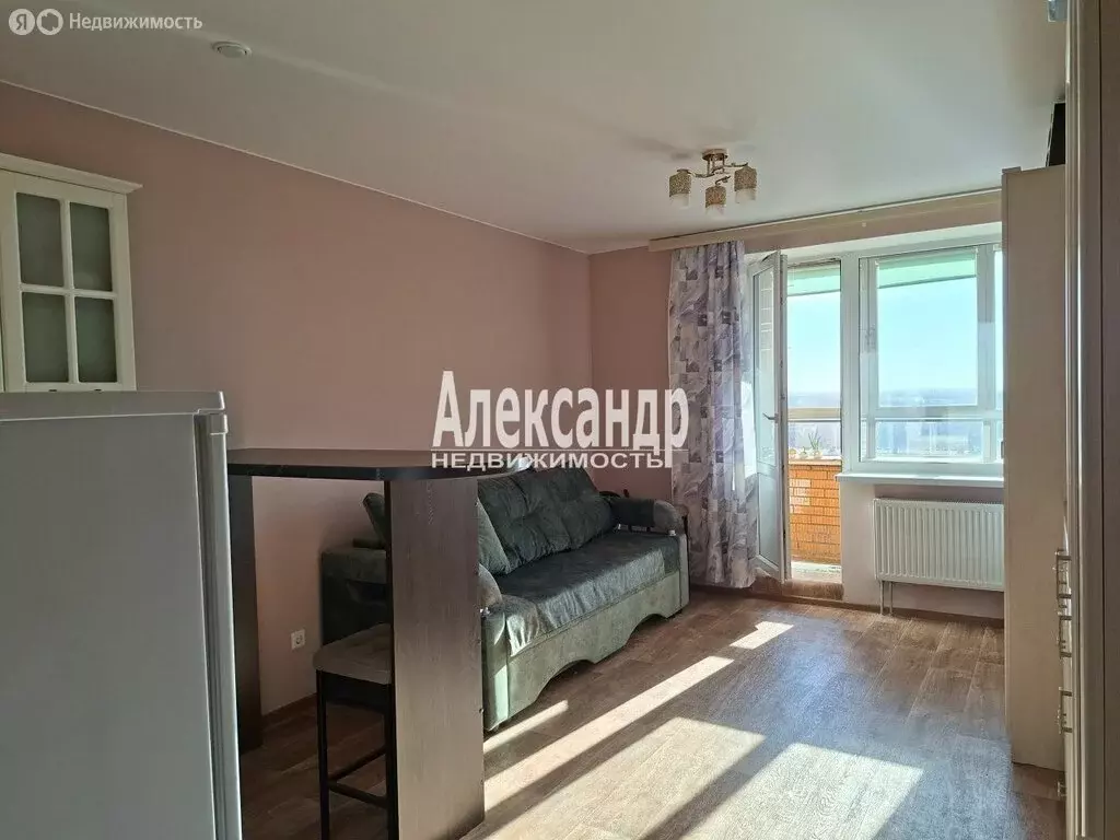 Квартира-студия: посёлок Металлострой, Полевая улица, 9 (26.4 м) - Фото 2