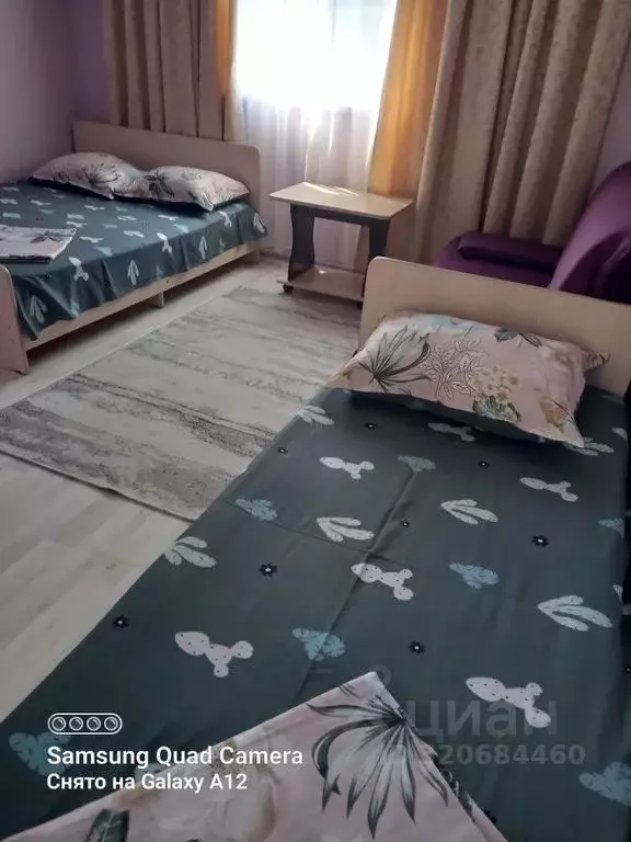 Комната Краснодарский край, Туапсинский муниципальный округ, с. Пляхо, ... - Фото 1