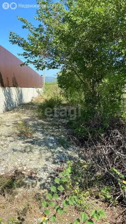 Участок в Краснодарский край, городской округ Новороссийск, село ... - Фото 0
