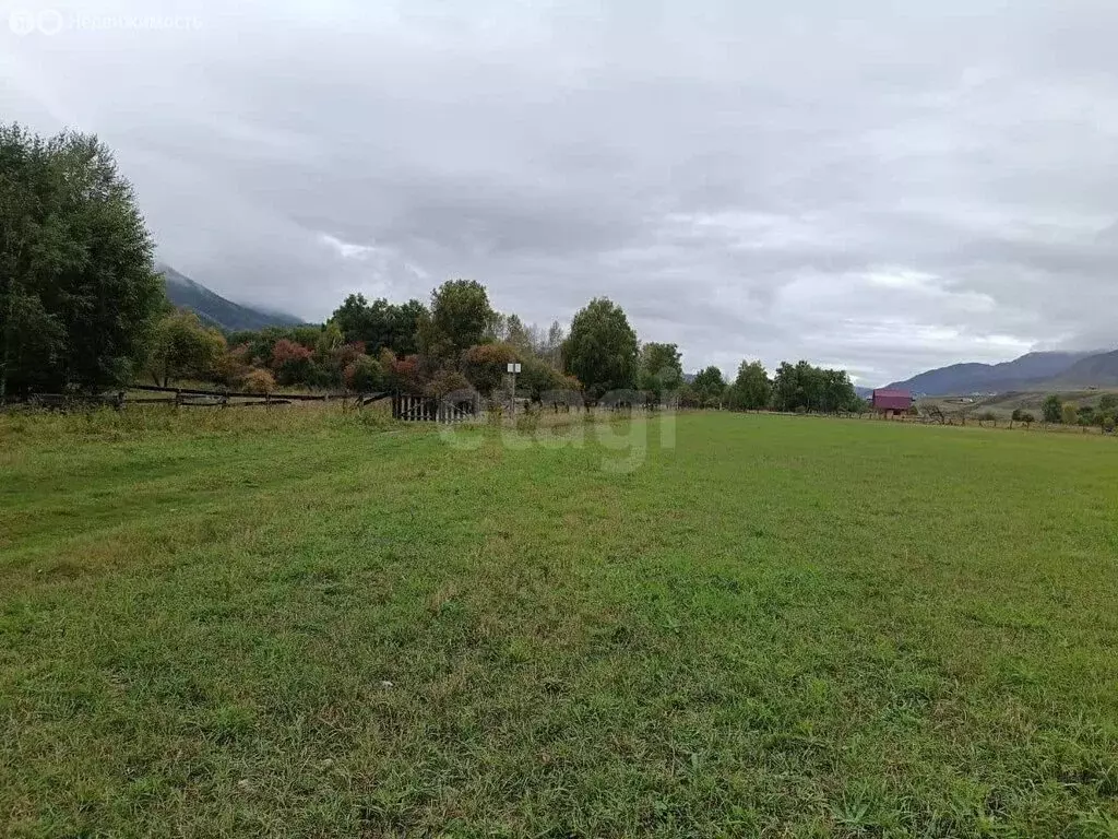 Участок в Республика Алтай, село Онгудай (50 м) - Фото 2
